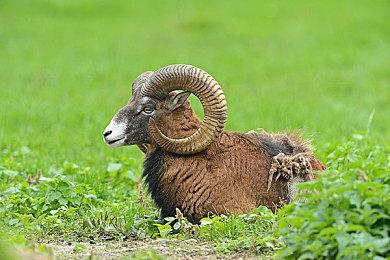 《光环：无限》将于本周进行调整 修复通行证升级缓慢等问题